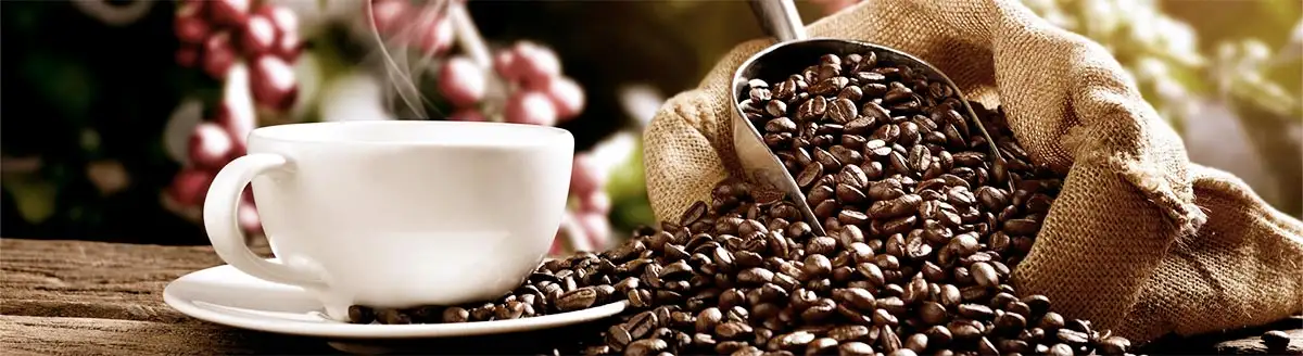 Kaffeekirsche Kaffeebohne