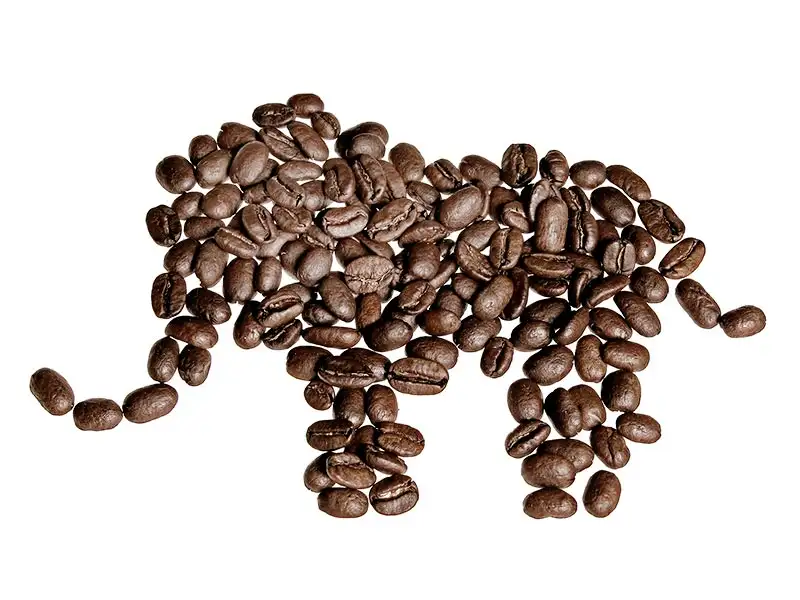 Kaffee Elefant