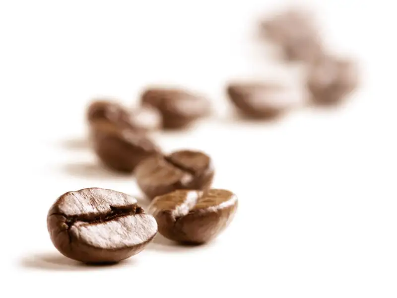 Kaffee Bohnen