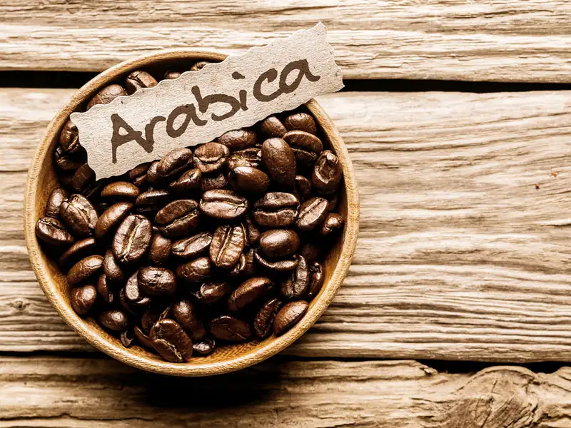 Kaffee Bohnen Arabica